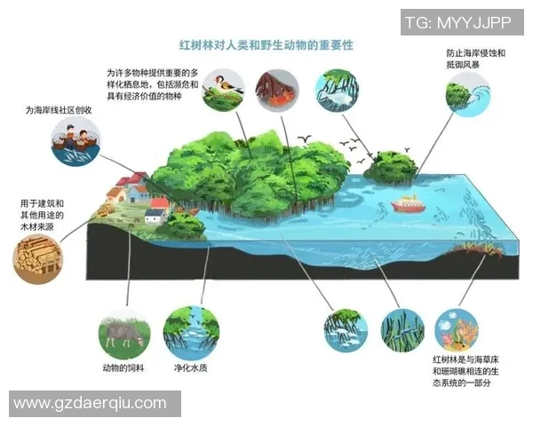 生态优先发展模式探索与实践:实现人与自然和谐共生的可持续路径