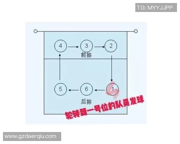 从零基础到高手之路：全面掌握排球配合技巧与战术解析