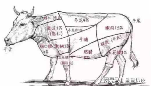 开云在线登录1400万人的都会一天吃掉10万斤牛肉！最佩服潮汕人吃暖锅(图1)